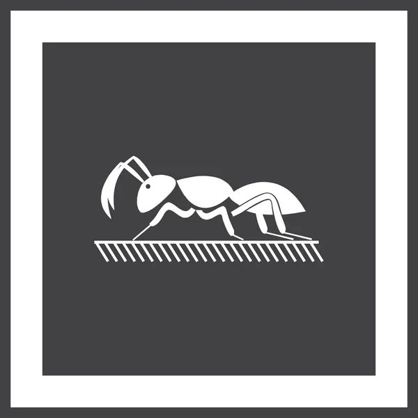 Икона муравья знак насекомого — стоковый вектор