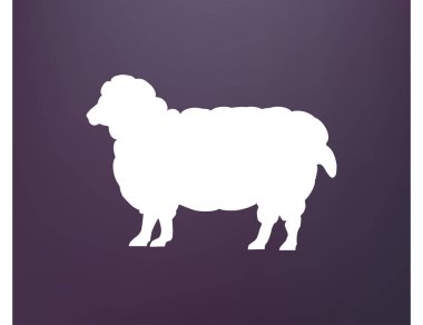 Renk koyun yün tüm büyüme ile. Cloven-hoofed çiftlik hayvan beyaz koyun, kavram gıda kroki çizimi