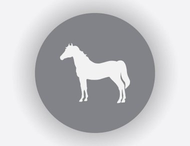 Bir atın vektör silueti