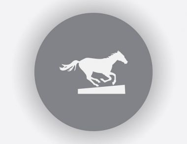 Bir atın vektör silueti