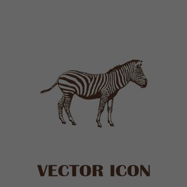 Zebra vektör web simgesi