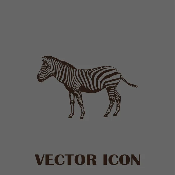 Icono web vector cebra — Vector de stock