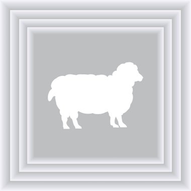 Renk koyun yün tüm büyüme ile. Cloven-hoofed çiftlik hayvan beyaz koyun, kavram gıda kroki çizimi