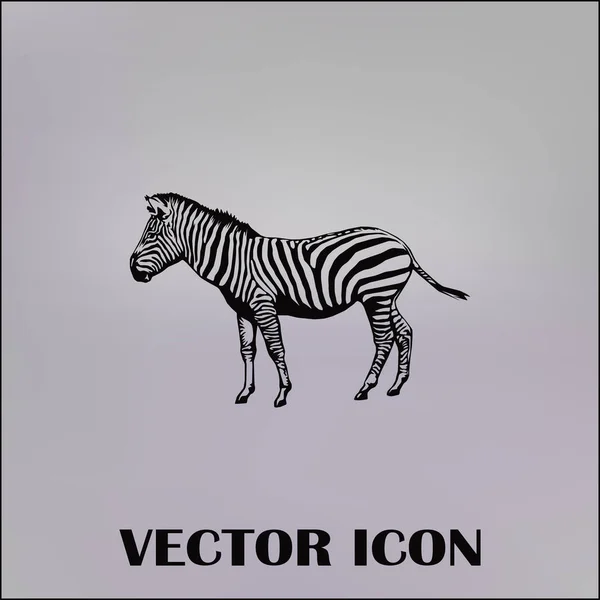 Zebra vektor web icon — Stock Vector