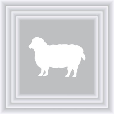 Renk koyun yün tüm büyüme ile. Cloven-hoofed çiftlik hayvan beyaz koyun, kavram gıda kroki çizimi