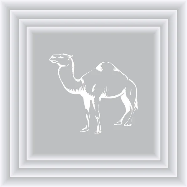 Kamel-ikonen. öknen djur — Stock vektor