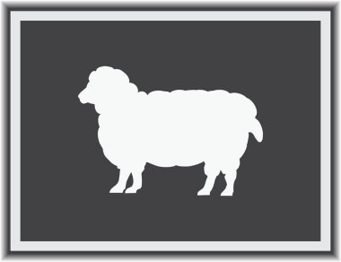 Renk koyun yün tüm büyüme ile. Cloven-hoofed çiftlik hayvan beyaz koyun, kavram gıda kroki çizimi