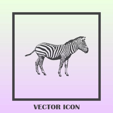 Zebra vektör web simgesi
