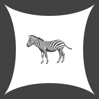 Zebra vektör web simgesi