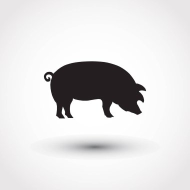 arka plan üzerinde izole simgesi domuz. Modern düz piktogram. Logo illüstrasyon