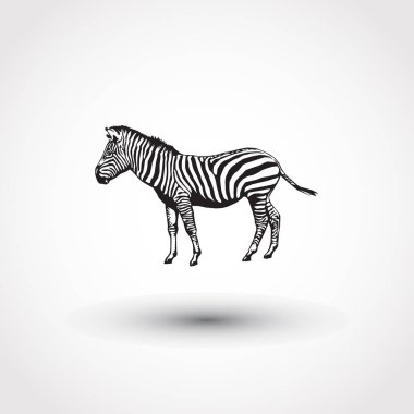 Zebra vektör hayvan simgesi
