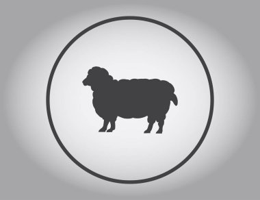 Renk koyun yün tüm büyüme ile. Cloven-hoofed çiftlik hayvan beyaz koyun, kavram gıda kroki çizimi