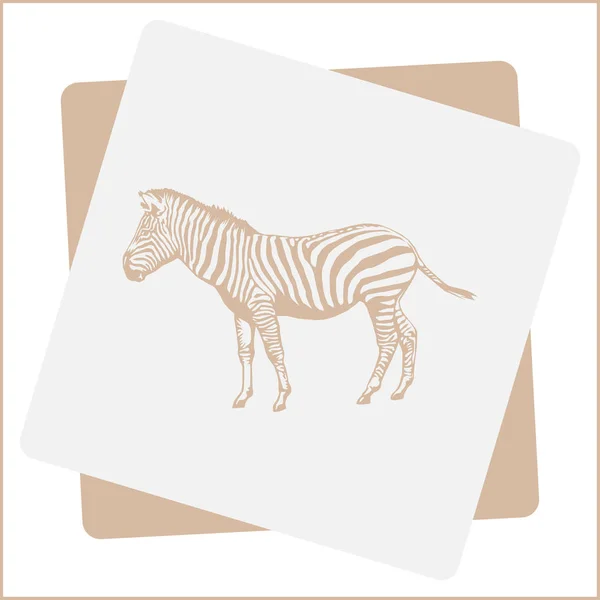 Zebra vector web icon — Stock Vector