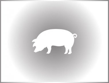 Domuz simgesi. Domuz simgesi. Domuz vektör çizim