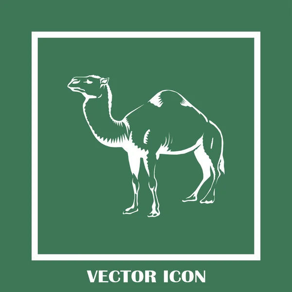 camel icon. desert animal