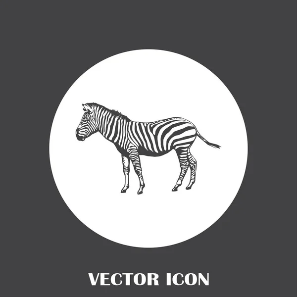 Ícone web vector zebra — Vetor de Stock