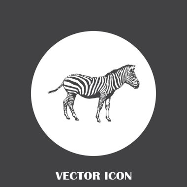 Zebra vektör web simgesi