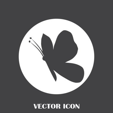 Kelebek vektör web simgesi