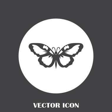 Kelebek vektör web simgesi