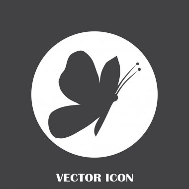 Kelebek vektör web simgesi