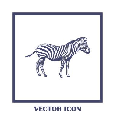 Zebra vektör web simgesi