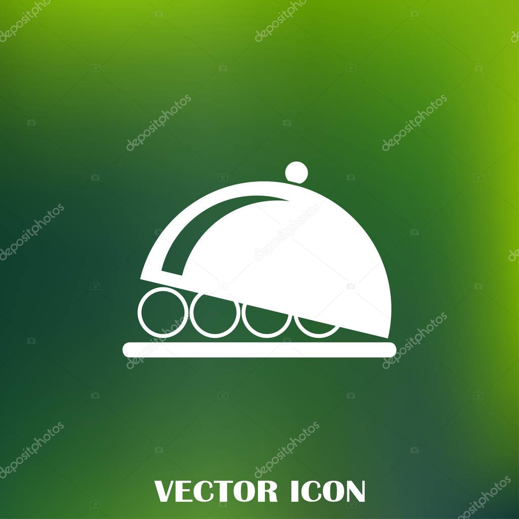 Platter icon vector illustration.