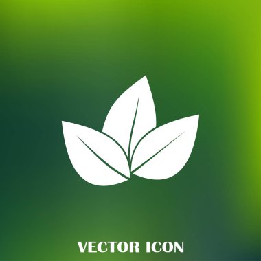 Yaprak ikonu vektör illüstrasyonu