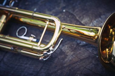 Ahşap yüzeyde bir güdük ormanın içinde yatan trompet müzik.