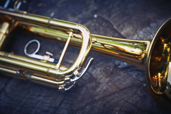 Trumpet musik liggande på träytan i skogen på en stubbe. — Stockfoto