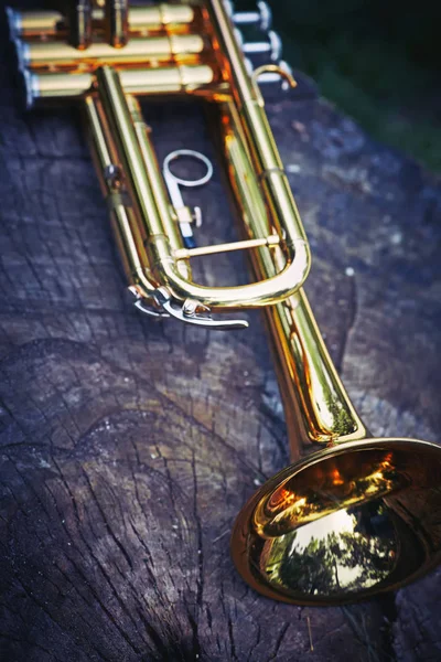 Trumpet musik liggande på träytan i skogen på en stubbe. — Stockfoto