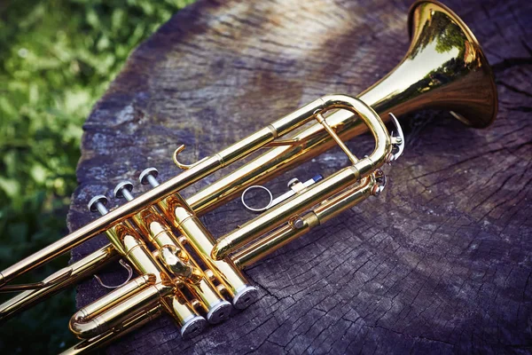 Trompetenmusik liegt auf einer Holzfläche im Wald auf einem Baumstumpf. — Stockfoto