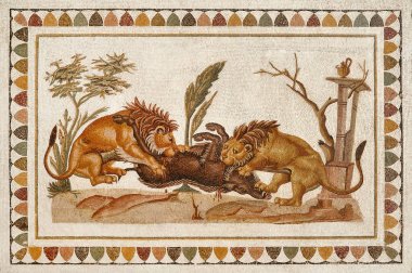 Roma Mozaik Müzesi Tunus, Tunus.