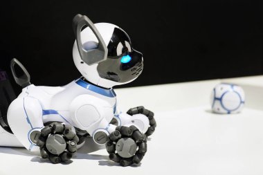 Bir top ile güzel şirin oyuncak robot köpek.