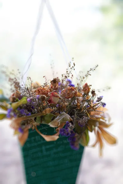 Beautiful still life of dried flowers. — Stock Photo, Image