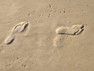 İnsan ayakları iki parça kum üzerinde.