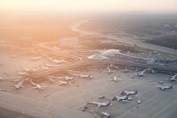 Luchthaven Sjeremetjevo. De groep Aeroflot vliegtuigen — Stockfoto