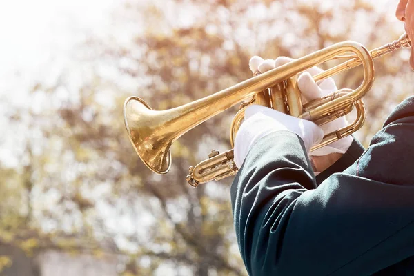 Askeri Bir Müzisyenin Yeşil Üniforma Beyaz Eldiven Bir Trompet Dışında — Stok fotoğraf