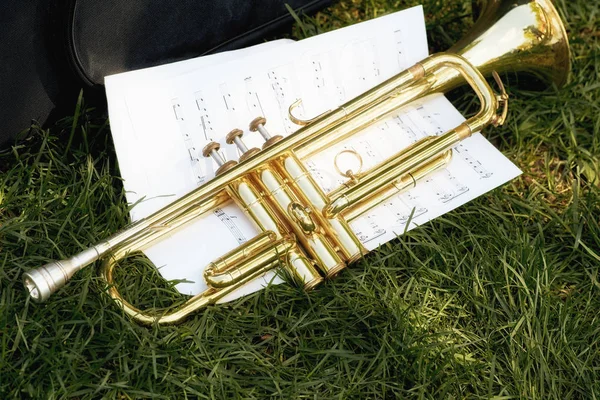 En musikalisk trumpet med papperslappar ligger på det gröna gräset. — Stockfoto