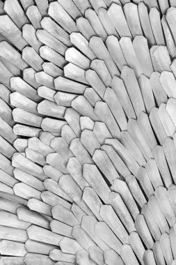 Kuş tüyleri closeup gri bir metal yüzeye kazınmış. 