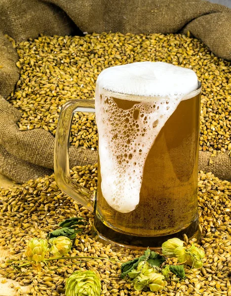 Cerveza espumosa fresca en un vaso —  Fotos de Stock