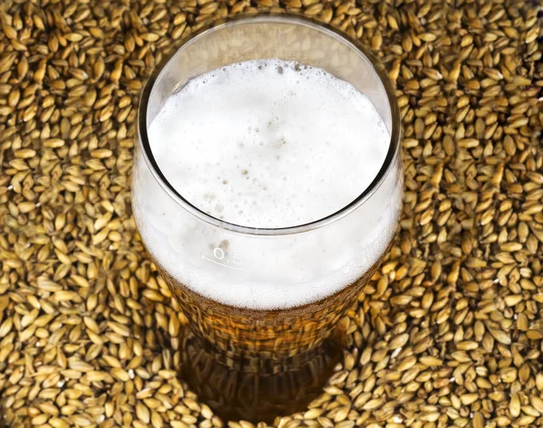 Um copo de cerveja no fundo do malte — Fotografia de Stock