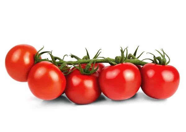 Zweig frischer roter Tomaten auf weißem Hintergrund — Stockfoto