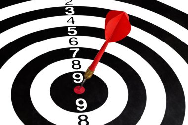 bir ok ile hedefi vurmak