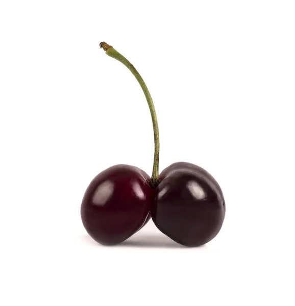 Two cherries on one branch — Stock Photo, Image