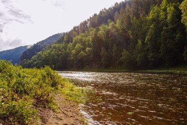 nehir orman shore gökyüzü beyaz