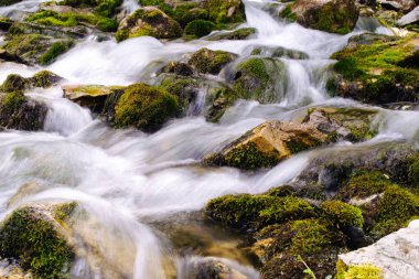 Dağları, ormanı ve önünde bir nehri olan bir manzara. Güzel manzara.
