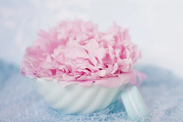 Rózsaszín Bazsarózsa Macaroon Menta Keksz — Stock Fotó
