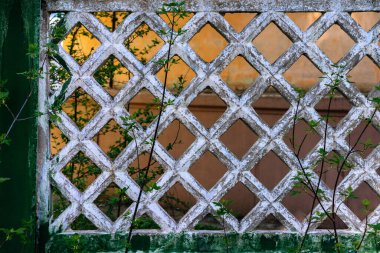 Beyaz boyalı eski beton çitler.