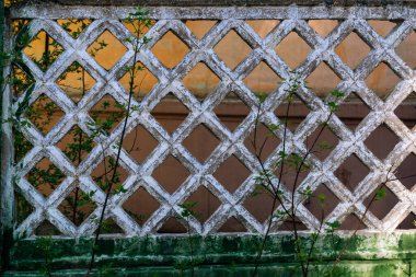 Beyaz boyalı eski beton çitler.