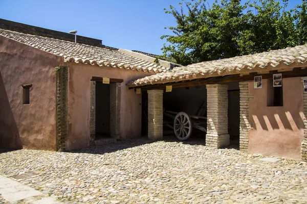 Campidanese evi